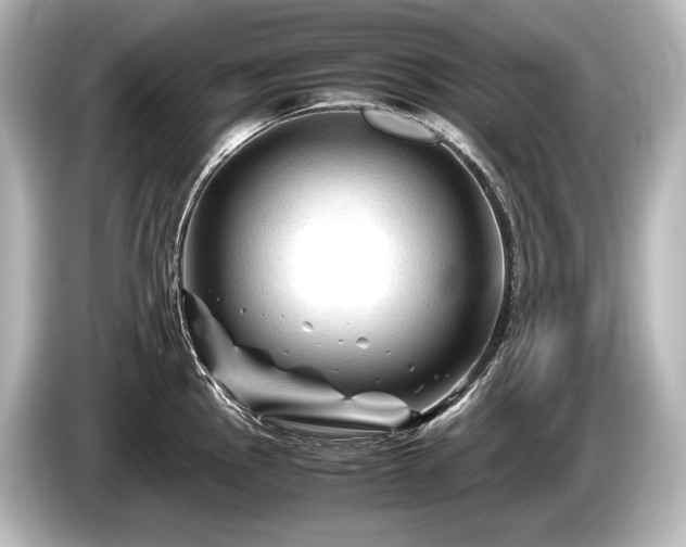 X0000085731145200703160959