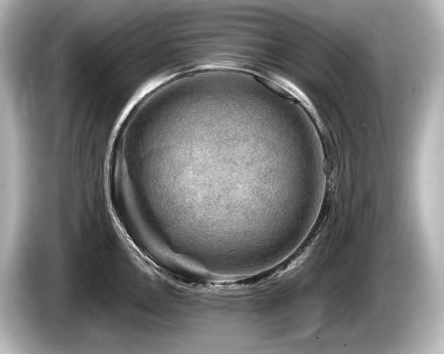 X0000085731146200703160959