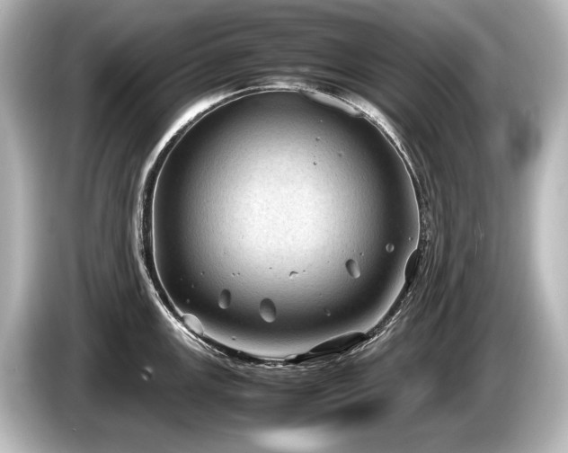 X0000085731147200703160959