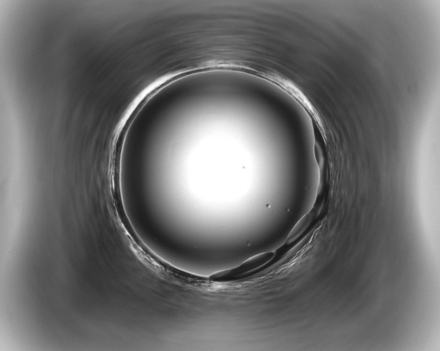 X0000085731148200703160959