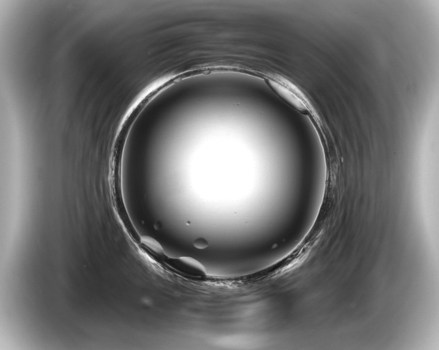 X0000085731149200703160959