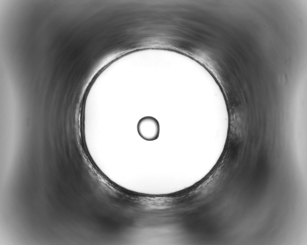 X0000085731150200703160959