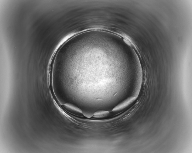 X0000085731151200703160959