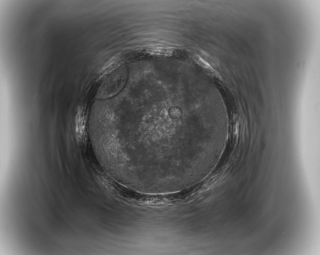 X0000085731154200703160958