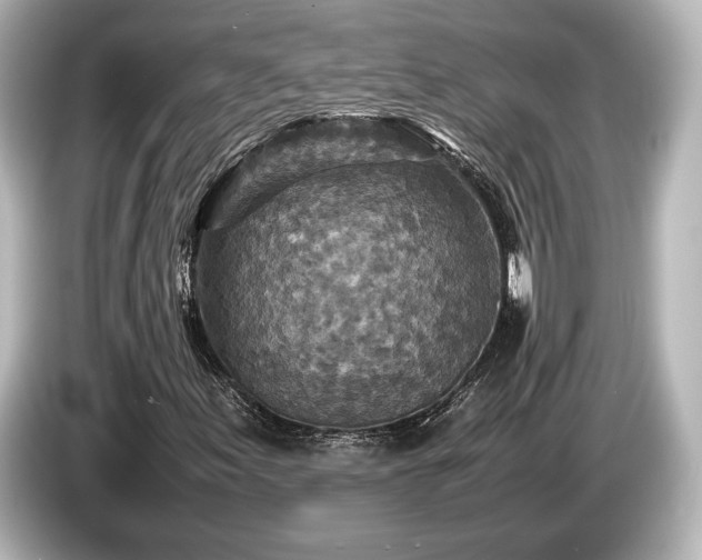 X0000085731155200703160958