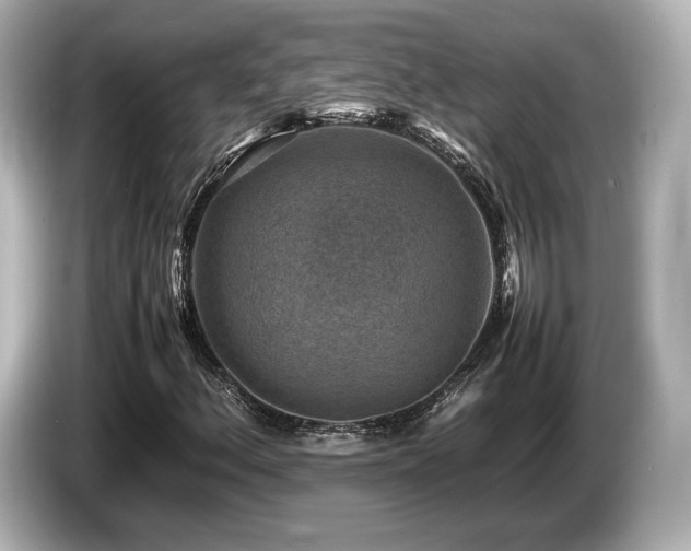 X0000085731156200703160958