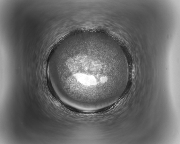 X0000085731157200703160958