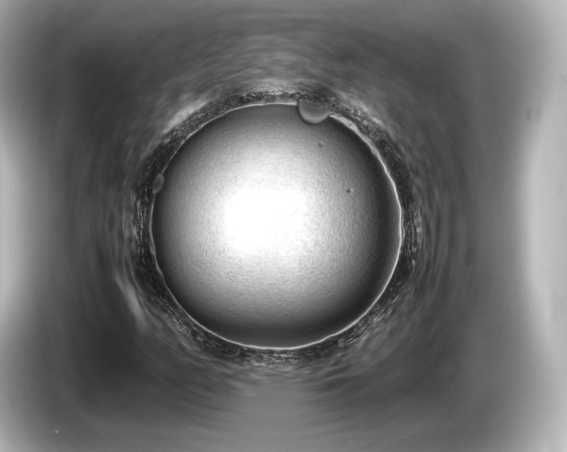 X0000085731158200703160958