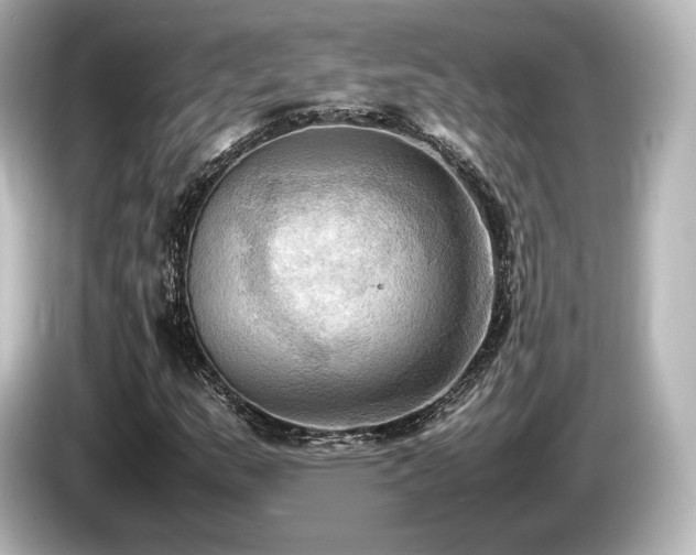 X0000085731159200703160958