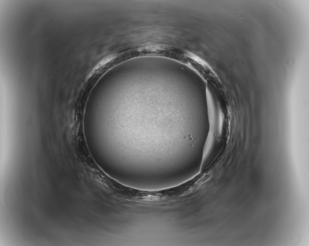 X0000085731160200703160958