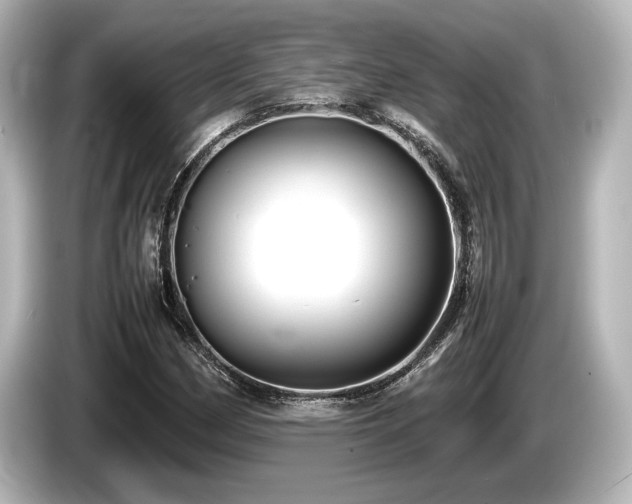 X0000085731162200703160958