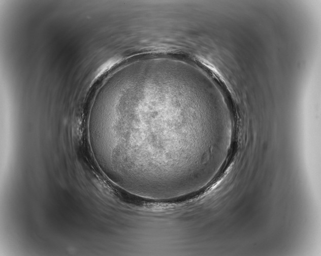 X0000085731163200703160958