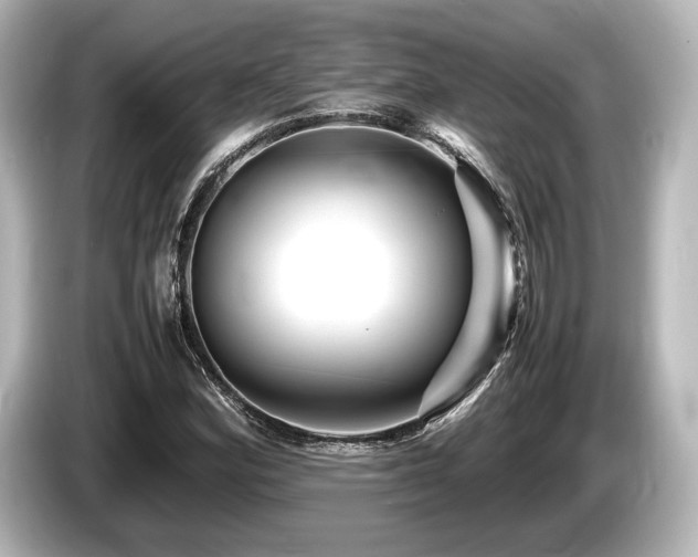 X0000085731164200703160958