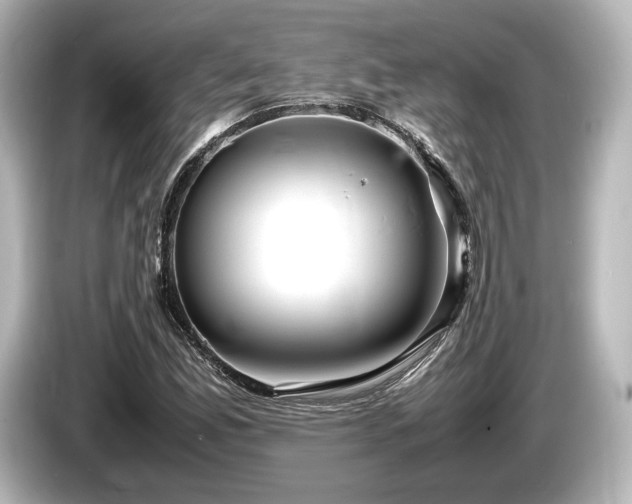 X0000085731165200703160958