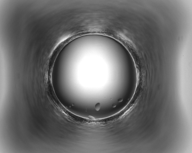 X0000085731166200703160958