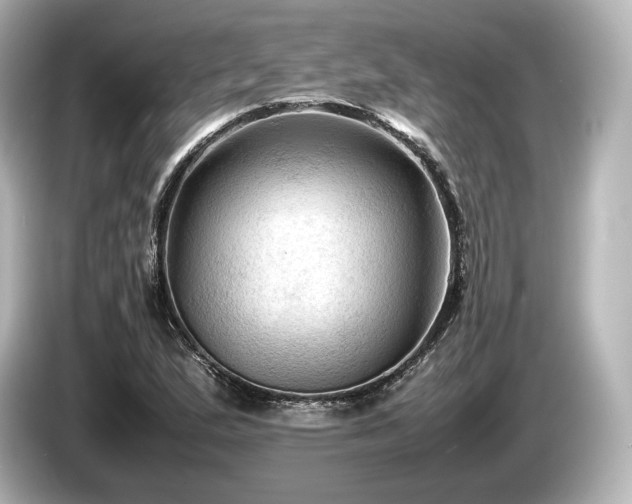 X0000085731167200703160958