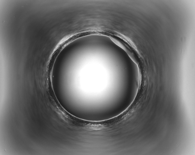 X0000085731168200703160958