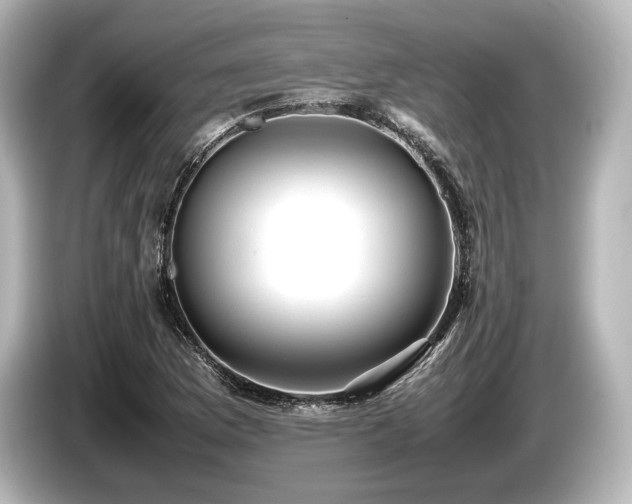 X0000085731169200703160958