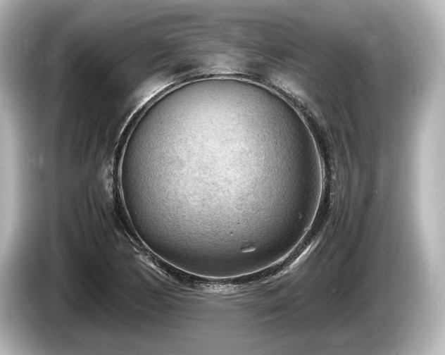 X0000085731170200703160958