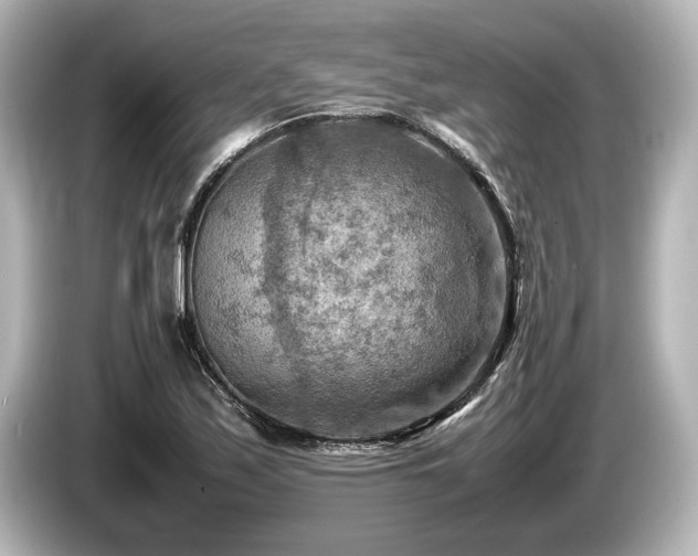 X0000085731171200703160958