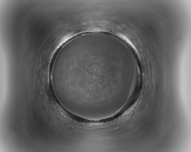 X0000085731173200703160958