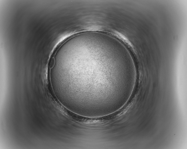 X0000085731174200703160958