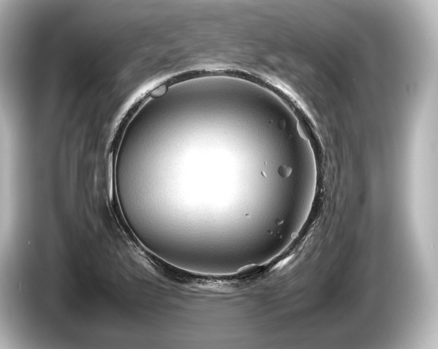 X0000085731175200703160958