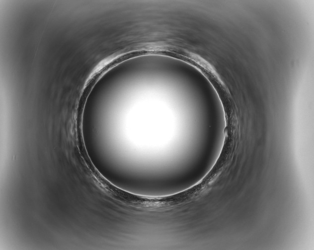 X0000085731176200703160958