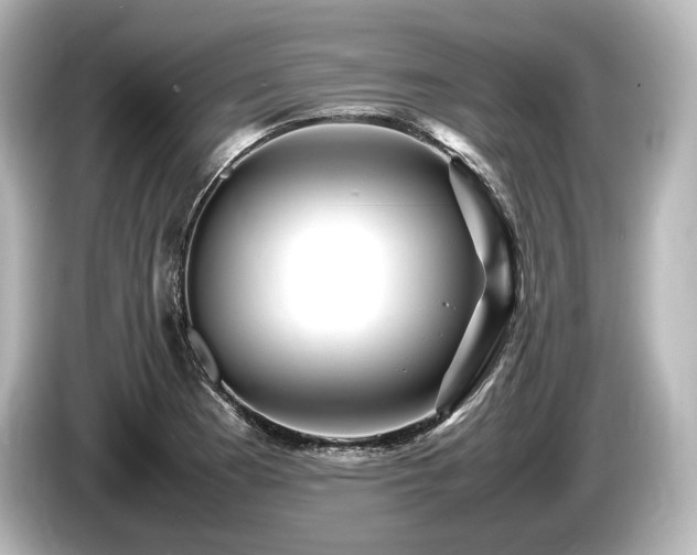 X0000085731177200703160958