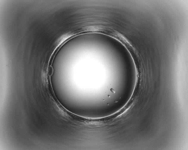 X0000085731178200703160958