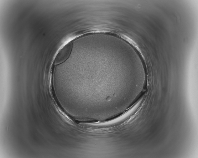 X0000085731179200703160958