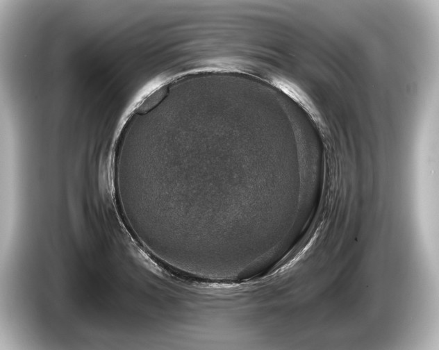 X0000085731180200703160958