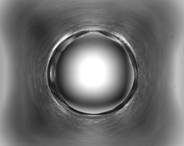 X0000085731181200703160958