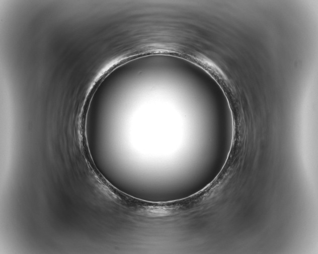 X0000085731182200703160958