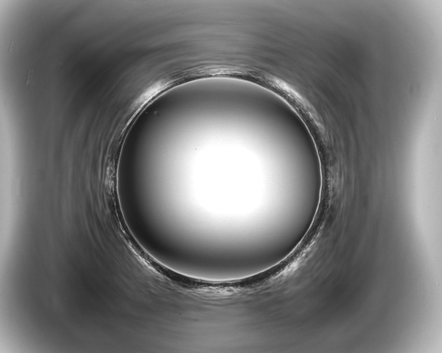 X0000085731185200703160958