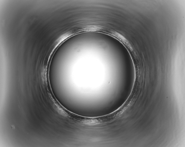 X0000085731186200703160958