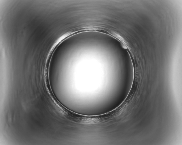 X0000085731187200703160958