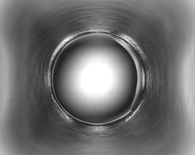 X0000085731188200703160958