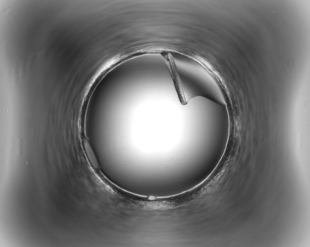 X0000085731189200703160958