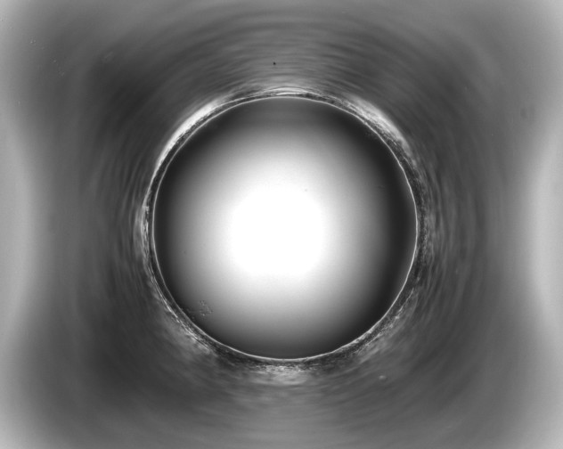 X0000085731190200703160958