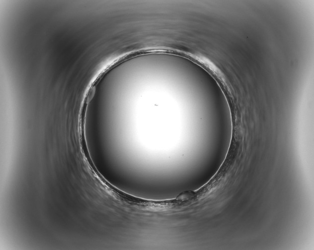 X0000085731191200703160958