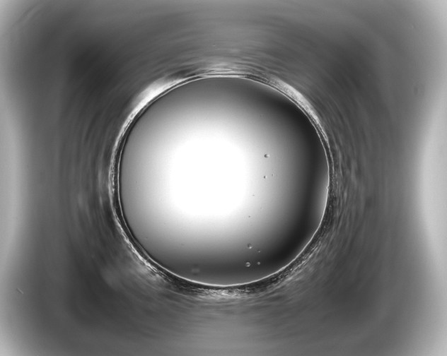 X0000085731195200703160958