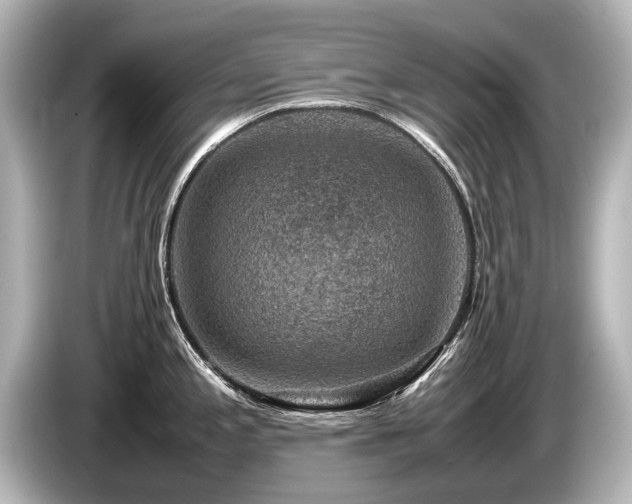 X0000085731197200703160958