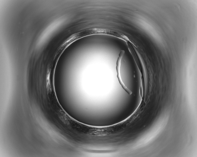 X0000085731198200703160958