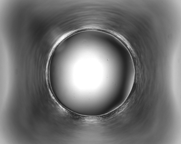 X0000085731199200703160958