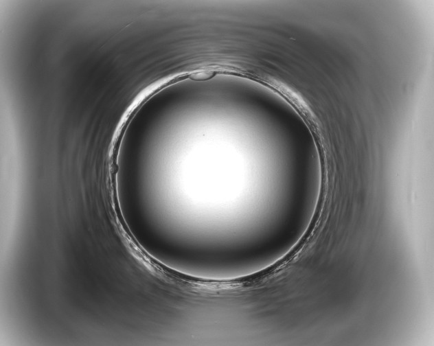 X0000085731200200703160958