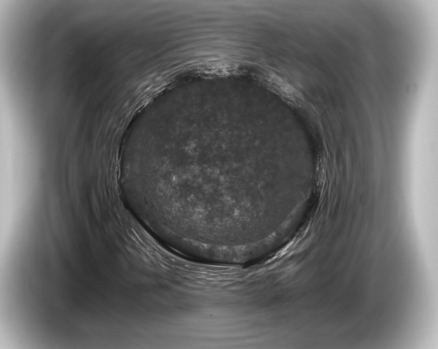 X0000085731202200703160957