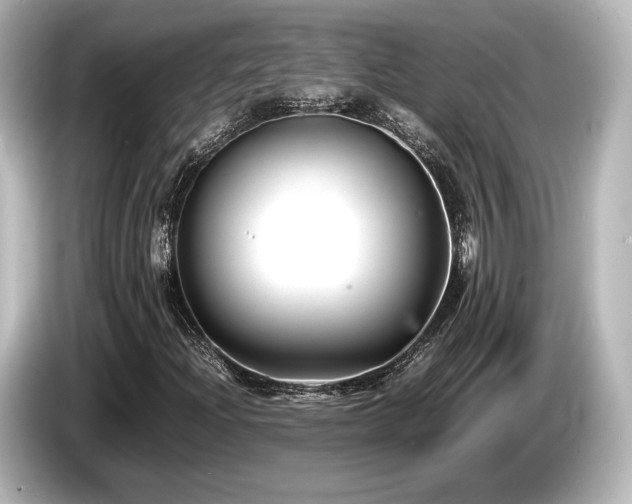 X0000085731204200703160957