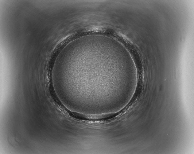 X0000085731206200703160957