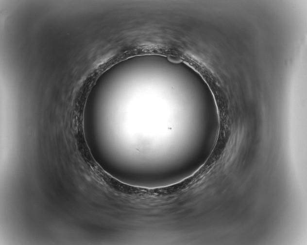 X0000085731207200703160957